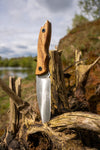 FK Woodpecker V1 - Komplettset - Falkiknives - Kitchen, BBQ & Outdoor - Messershop